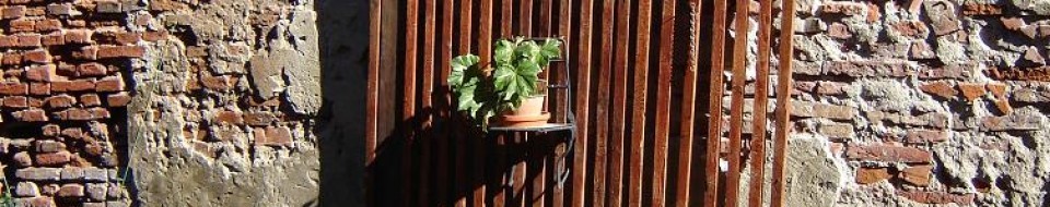 klaus |  A Blog for NEWS, Computers, Programming & Politics, Lifestyle, Money, Travel