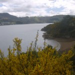 The coast of Otago Dunedin in New Zealand